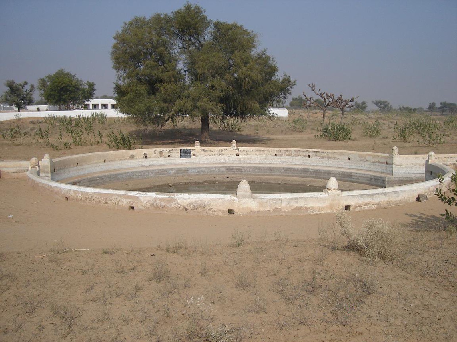 Environment Protection & Green Clean Village — Green Organic Welfare Foundation field activity